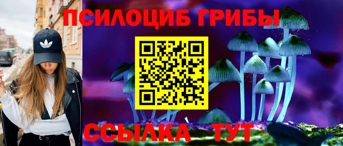 Галлюциногенные грибы мицелий  Псилоцибиновые грибы ЛСД  Вход с VPN  Корсаков 