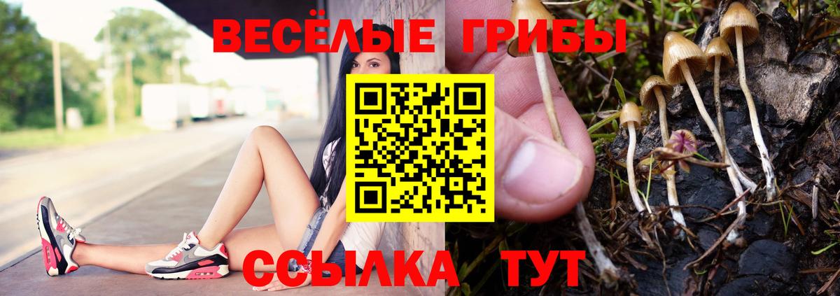 Псилоцибиновые грибы Magic Shrooms Корсаков